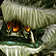 Sand King